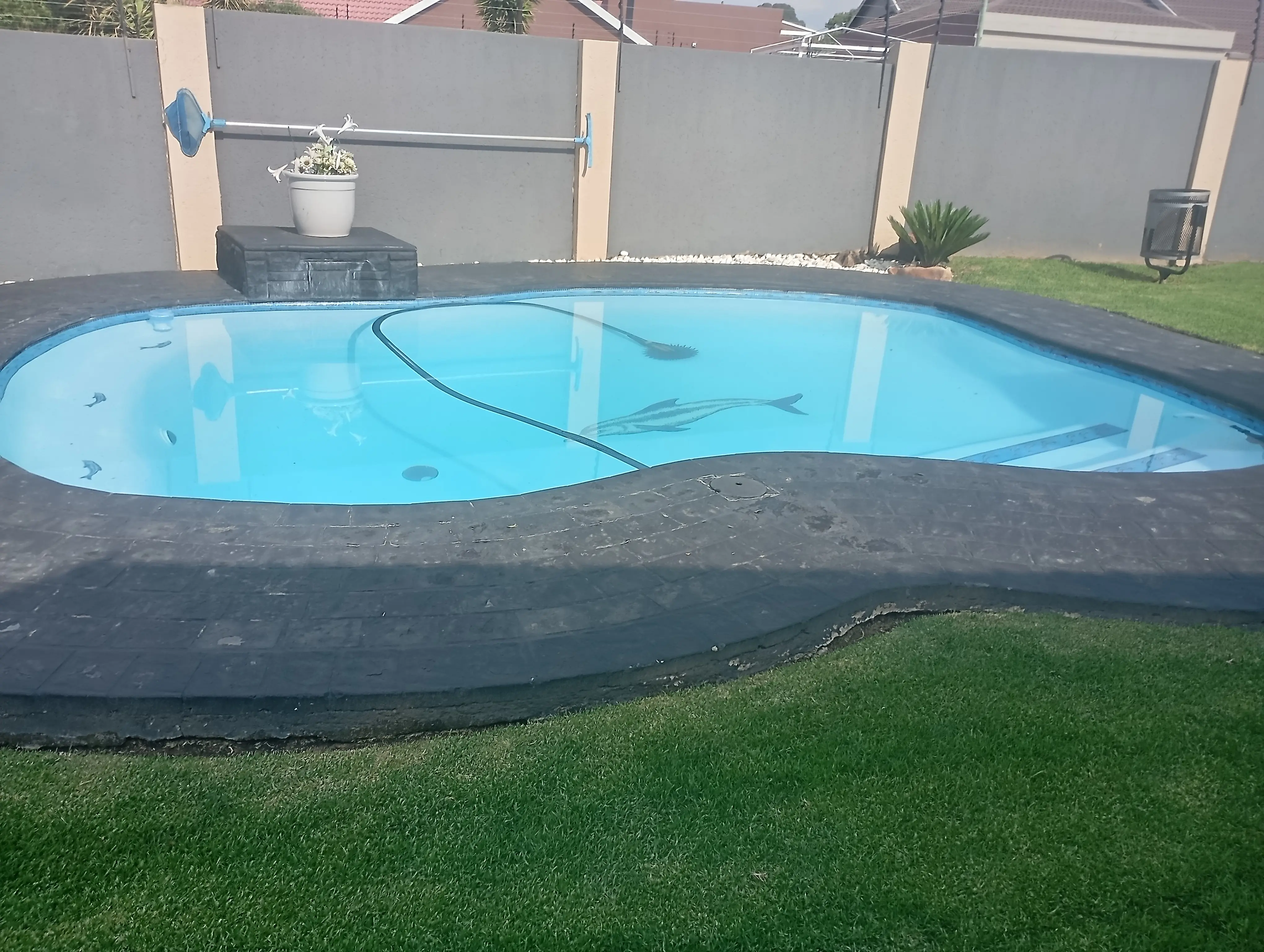 Quick Pool Services  Gallery's 